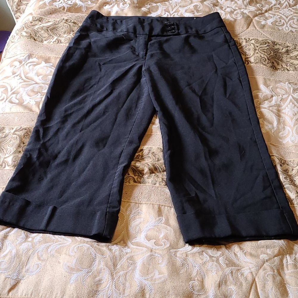 Ladies capris pants